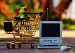 rendere visibile ecommerce