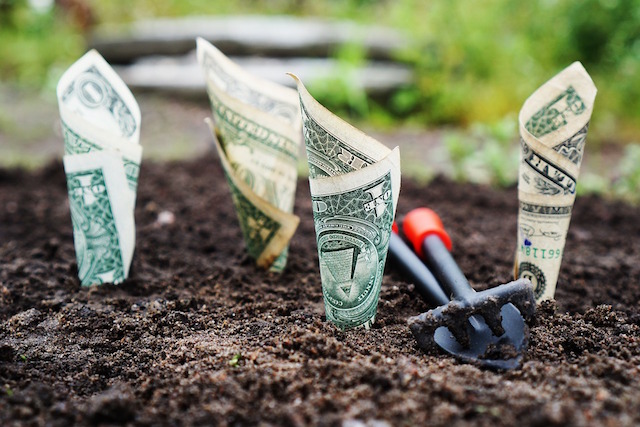 Guadagnare con Adsense