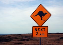 seo travel blog