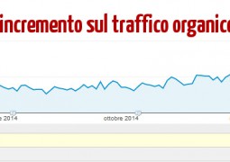 Incremento Traffico Organico