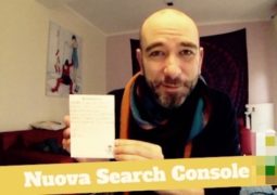 Nuova Search Console