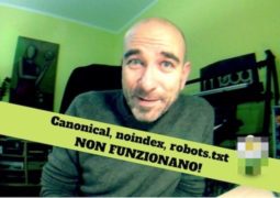 Canonical, noindex robots.txt, perché e quando non funzionano?