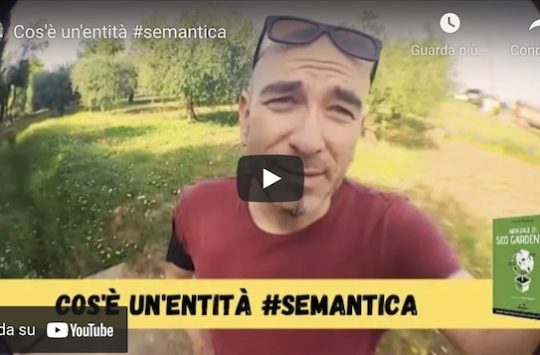 cos'è un'entità